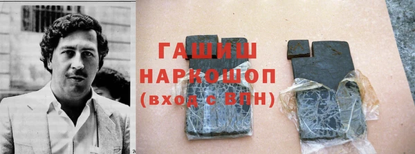 гидра Чекалин