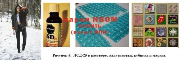 сатива Лабытнанги