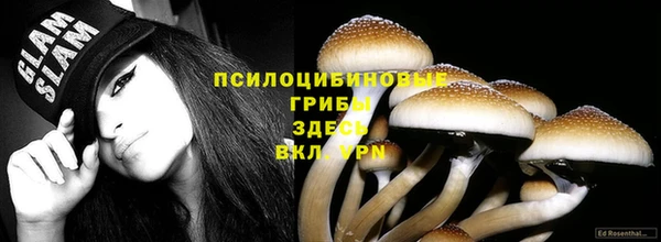 амф Кукмор