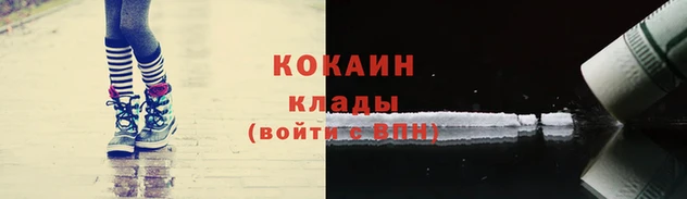 сатива Лабытнанги