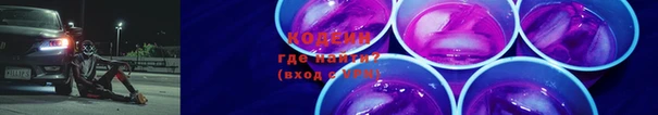 сатива Лабытнанги
