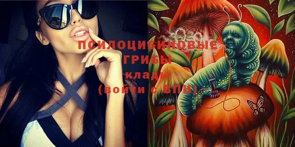 гидра Чекалин